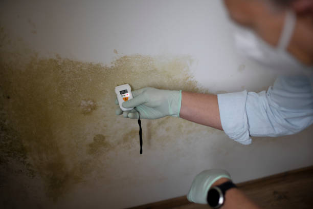 Best Mold Remediation for Healthcare Facilities  in Keuka Park, NY